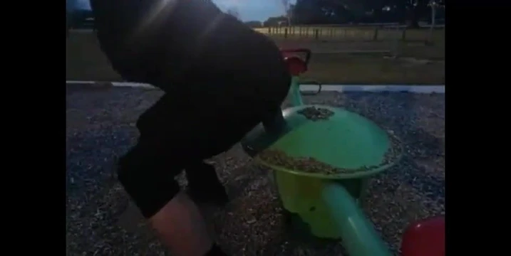 night time public masturbation