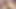 2人のぽっちゃり系天使がラッキーなチンポにごちそう