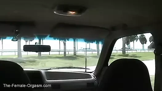Big Nips porn video – Back of the suv