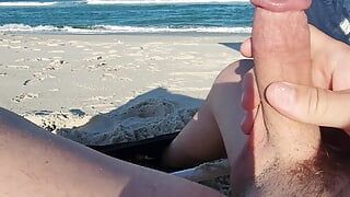 Stroking big thick hard veiny mushroom head outdoor beach cock