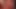 Karla kush, maddy o'reilly ve aj applegate iyi eğlenceler