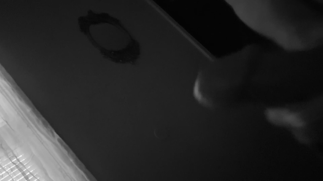 Just heard my ex mother n law playing with her kitty