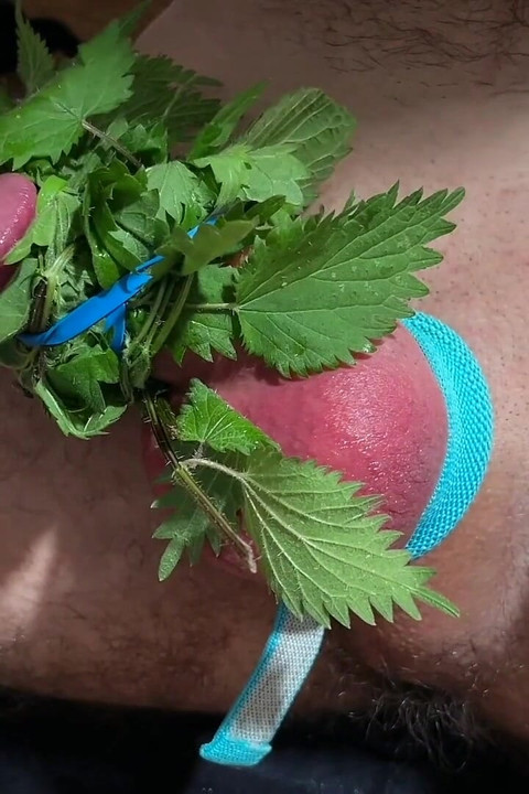 Cum with Nettles Inside Dick