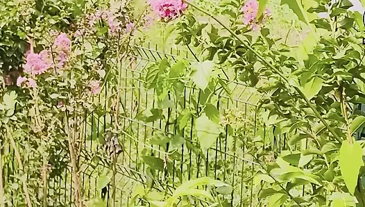 Nyepong dildo di taman umum di luar ruangan
