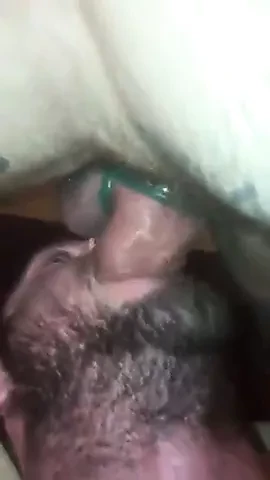 Distruggi quella testa dei finocchi