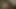 Genç Nici'nin özel xxx videosu
