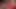 TS BIG BOOTY BIANCA: MRS. CLAUS FUCKS PHAT BOOTY ELF!