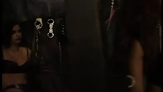 Playing with their two slaves