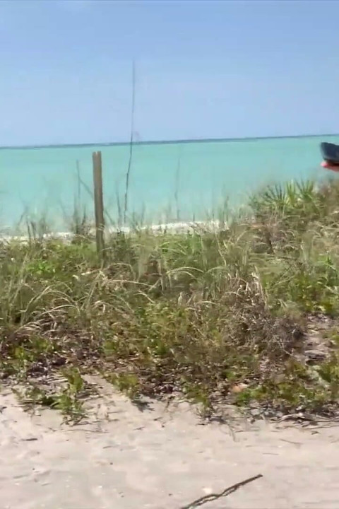 Sparks Go Wild Fucking While Wearing Thongs on the Beach