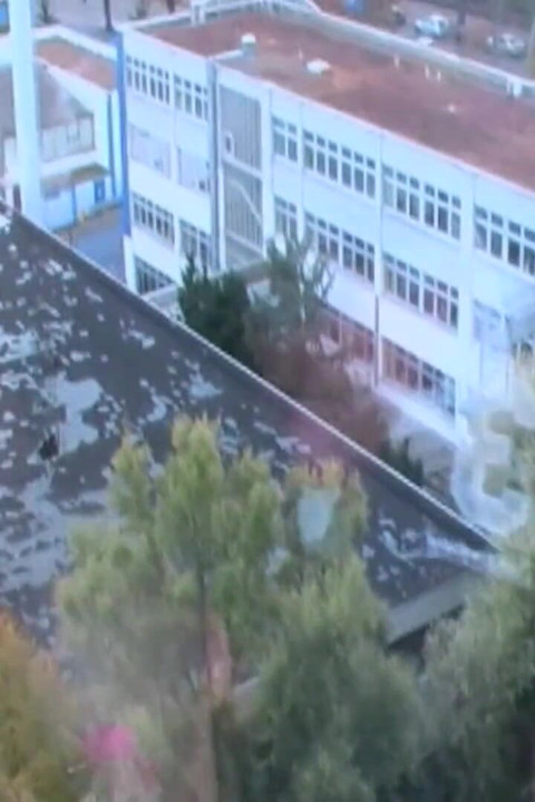 Hobby Huren - Real Amateur Sluts Fucking for Fun and Cash