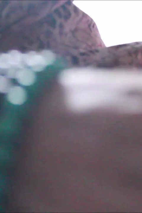 سمينة بطن سمينة