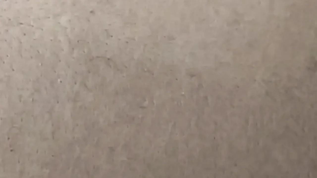 My boss's son saw me fingering my pussy and then made my sweet pussy