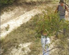 Pratinjau video