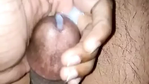 desi master