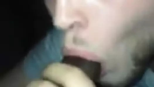 beyaz kaltak