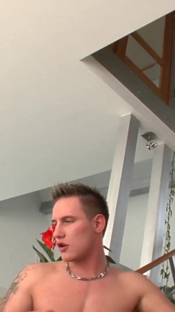 Pregled videozapisa