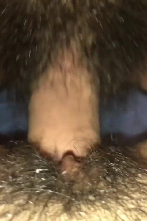 Italian hairy pussy cums the best Pov creampie