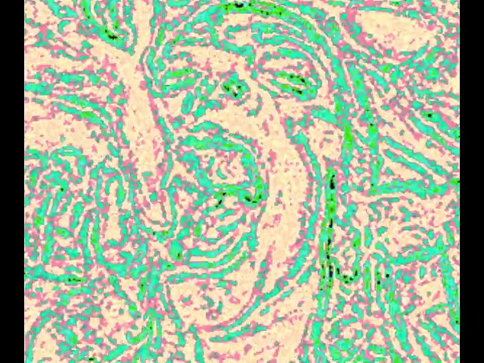 Rozszerzenie CEI Quickie w zestawie