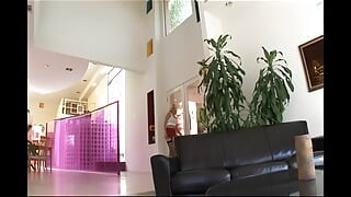 Lexinghton - Full HD