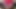 Dildo.Trans sexy crossdresser cum for You papi
