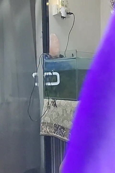 My Greeen Saree Thank You Fan