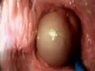 pussy inside