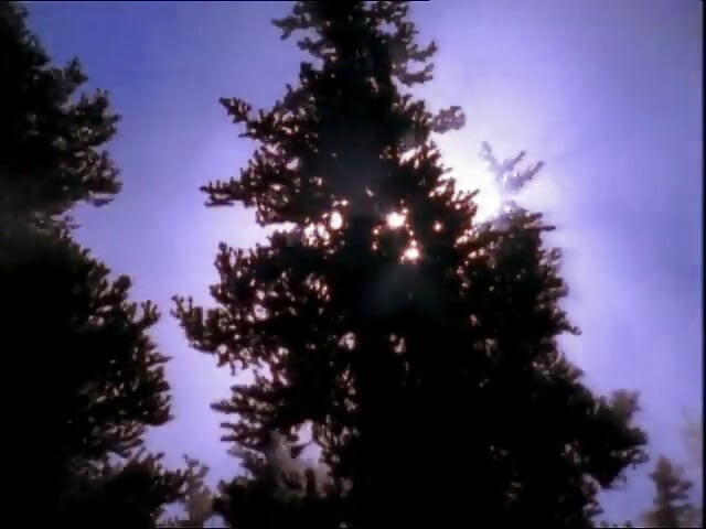 Verrückter schmutziger sex an einem wilden strand