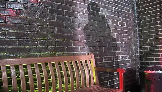 Police outdoor lesbo action of the horny big boobed MILFS