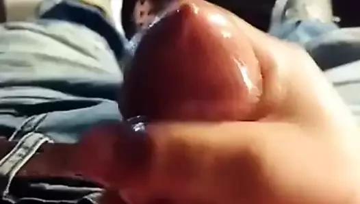 Bolca döl