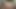 Sweet SSBBW vs Older gentleman can he handle it?