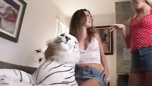 Czy podoba ci się mój tygrys?