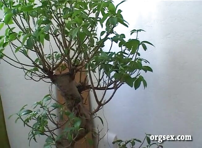 Morgane spielt dildo bei ihr zu hause