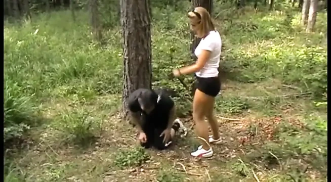 A good pony play out in the mountains