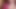 Hot brunette strip and masturbating with dildo