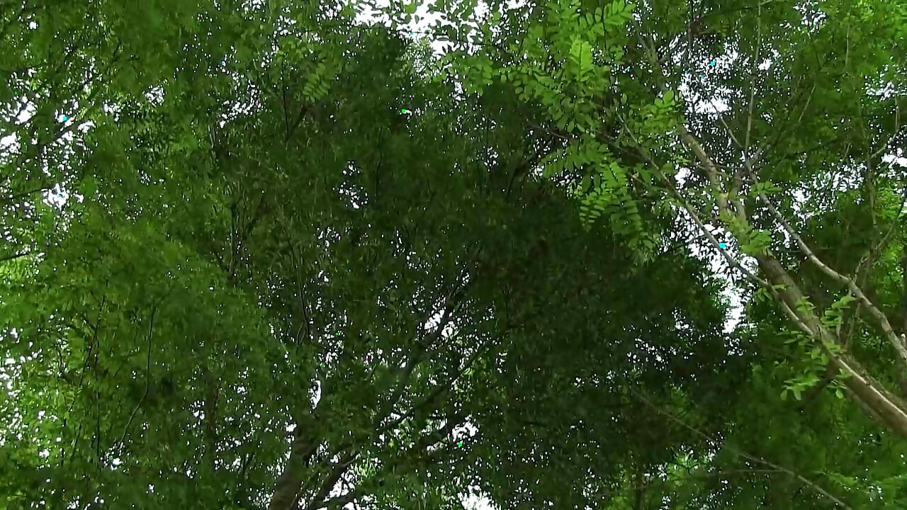 Fete păcate de vară