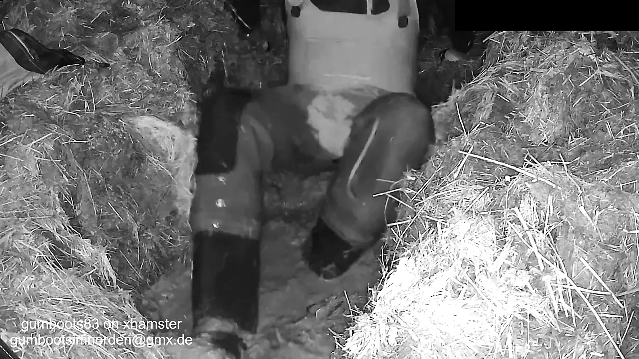 Night Vision di Purofort Thermo Waders