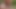 Forest Cruising Turns Into a Triple Blow & Cum Party