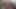 Amateur Lindsey Self Shot Masturbation - Ersties
