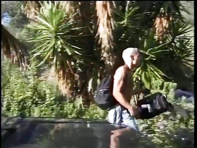 Deux étalons gays excités se sucent la bite dans le jardin