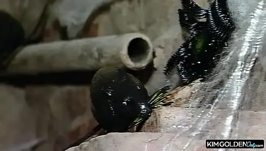 Heisser Stallsex mit leidenschaftlicher Bruenetten