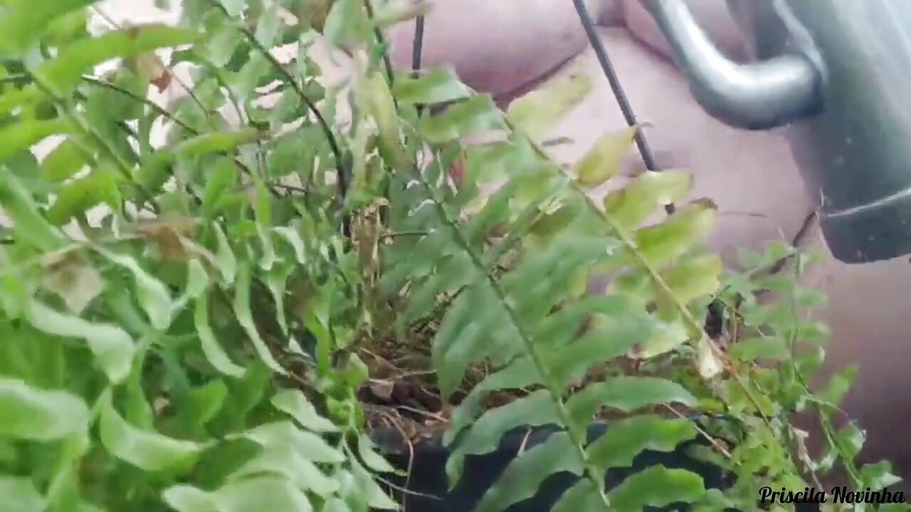 継母が継息子の友人がガーデニングを教える動画を作る パート01