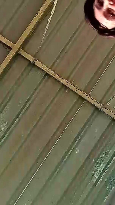 Beutiful lady swinging without panties on a swing outdoors. Slow motion 127 3 | Clip 1