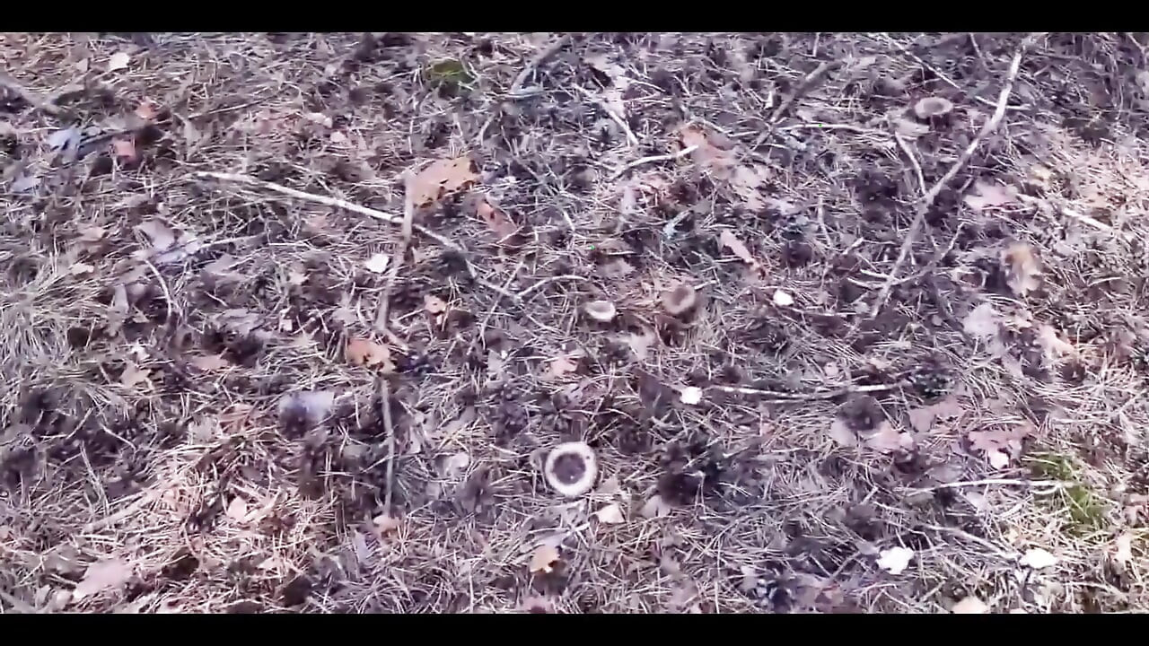 Spacer zakończył się twardym pieprzeniem kończącym się w dupie