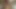 Lovely A pregnant Girl shows  her body parts on front of camera