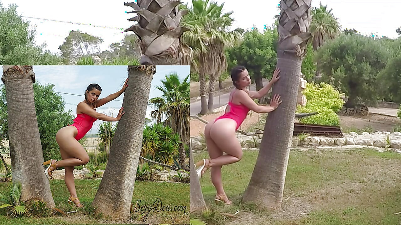 Розова стрелба