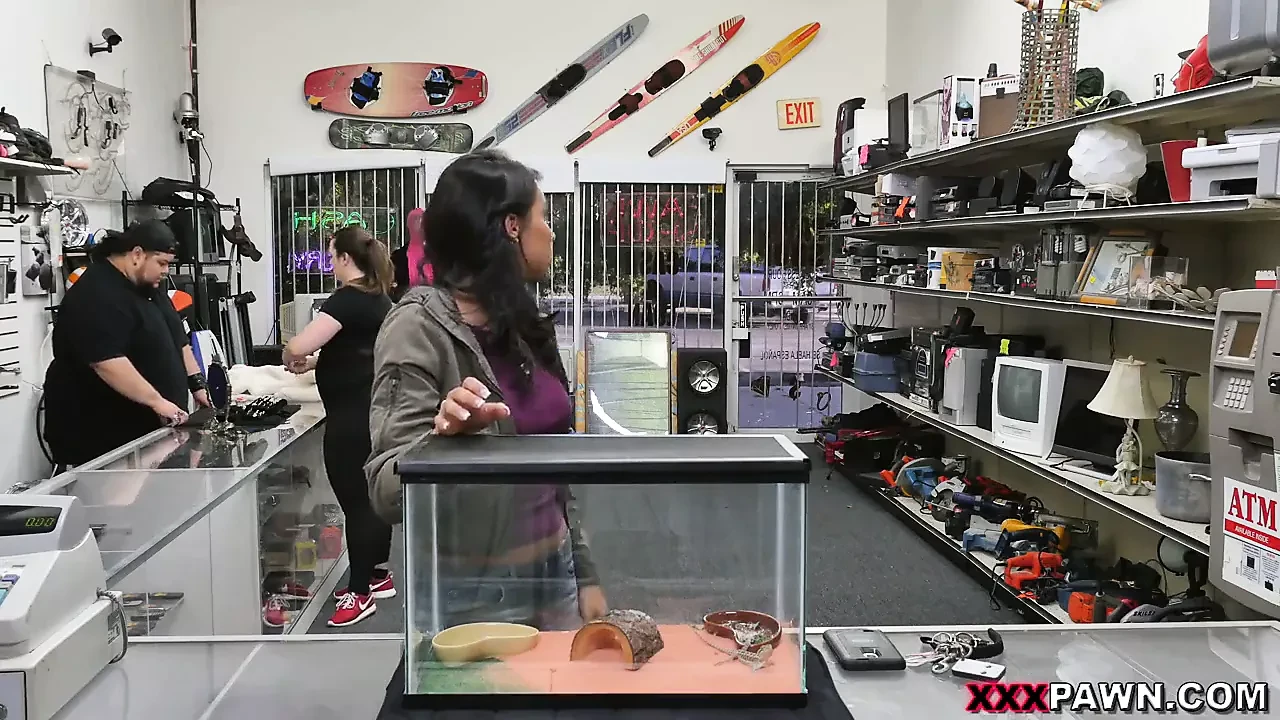 Pawn A Bearded Dragon For A White Anaconda – XXX Pawn