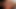 Fascinating milfs lick their juicy honey pots in a close up shoot