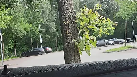 My Cock