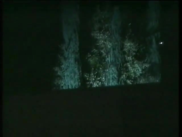 Seductive Mature Babes in Lingerie Tease and Fuck