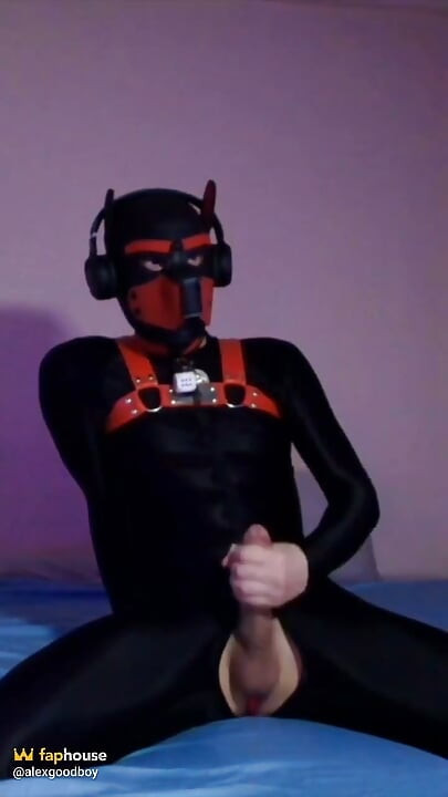Remote Controlled Puppy Whimpers While Jerking off